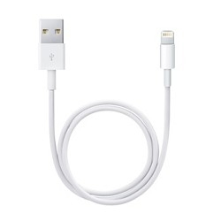 ME291ZM/A Apple Lightning to USB cable (0.5 m)  [: 1 ]