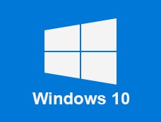     Windows 10 Professional   