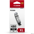 Canon PGI-480XL PGBK 2023C001   PIXMA TS6140/TS8140/TS9140/TR8540, 400 .    [: 2 ]