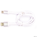 Harper       USB - USB type-C , SCH-730 white (1,     2 )  [: 2 ]