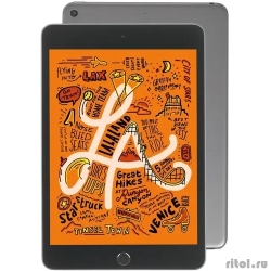 Apple iPad mini 7.9-inch (5th Gen) Wi-Fi + Cellular 256Gb Space Grey (MUXC2HN/A)  [��������: 1 ���]