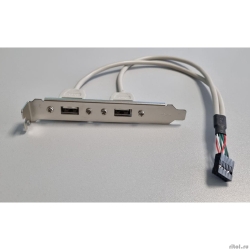 Bion ������ ������ 2xUSB2.0, 30 �� [BXP-MB-2USB]  [��������: 1 ���]