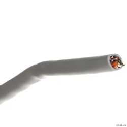 Rexant (01-0043) ������ ����� ���� U/UTP, CAT 5e, PVC, 4PR, 24AWG, INDOOR, SOLID, �����, 305�  [��������: 1 ���]
