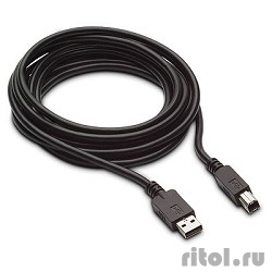 Bion ������ ������������ USB 2.0 AM/BM, 1.8 �, ������ [BXP-CCP-USB2-AMBM-018]  [��������: 1 ���]