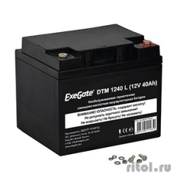 Exegate EX282977RUS �������������� ������� DTM 1240 L (12V 40Ah, ��� ���� �5)  [��������: 1 ���]
