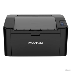 Pantum P2516, , Mono Laser, 4, 22 /,  150 , USB,    [: 2 ]