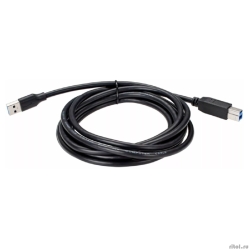 Telecom TUS710-3M ������ �������������� USB3.0 Am/Bm 3m Telecom  (TUS710-3M)  [��������: 1 ���]
