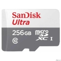 Micro SecureDigital 256GB SanDisk Ultra microSDXC class 10 UHS-1 (SDSQUNR-256G-GN3MN)  [��������: 1 ���]